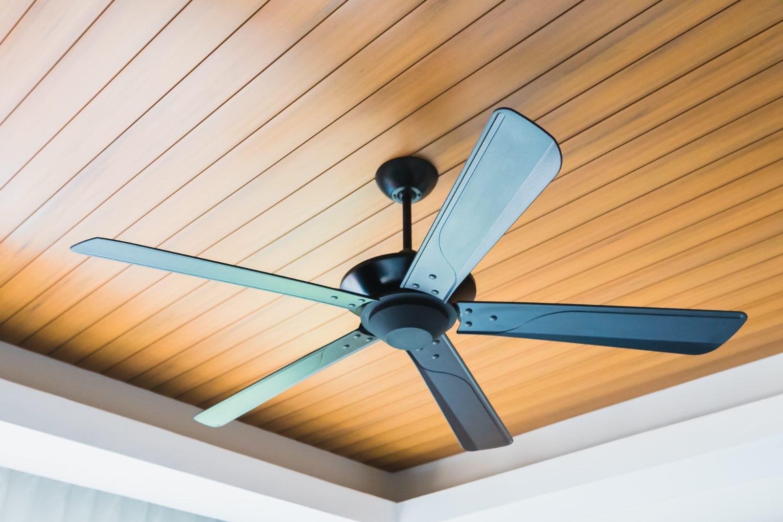 Ceiling fan installation Indianapolis